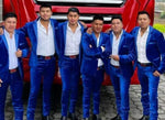 Cargar imagen en el visor de la galería, PANTALÓN EXÓTICO TERCIOPELO AZUL REY
